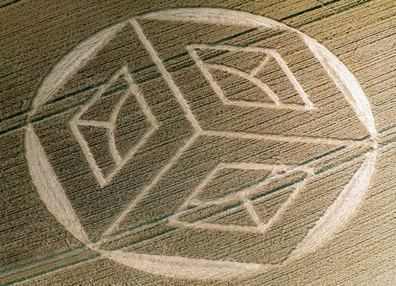 crop circle at Merstham | July 19 2015