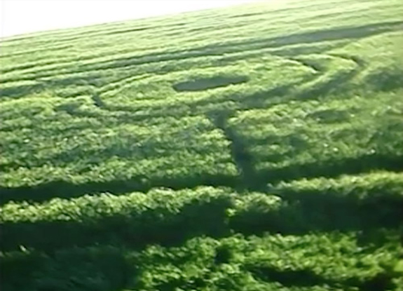 crop circle at Chopinzinho | July 20 2015