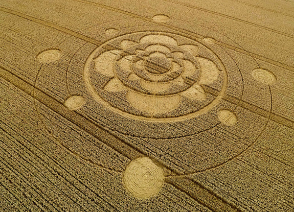 crop circle at Merstham | July 29 2015