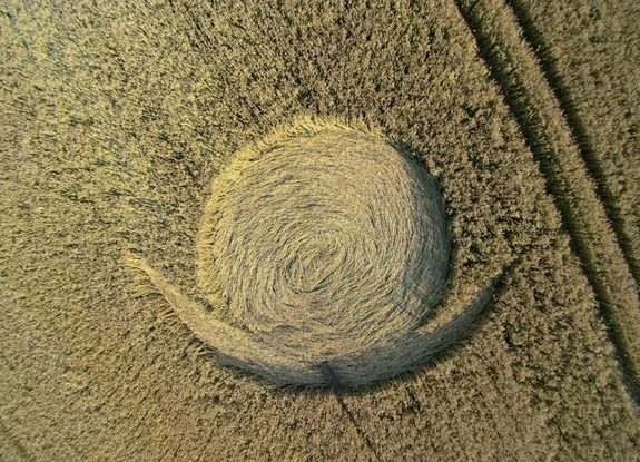 crop circle at Etten-Leur | July 31 2015