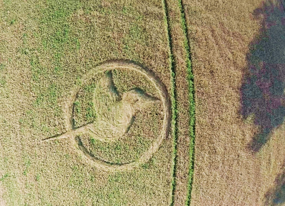 crop circle at Großbeeren | August 04 2015