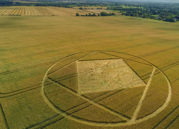 crop circle at Etchilhampton | August 04 2015