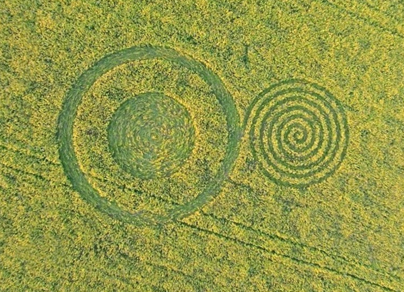 crop circle at Hoeven | September 10 2015