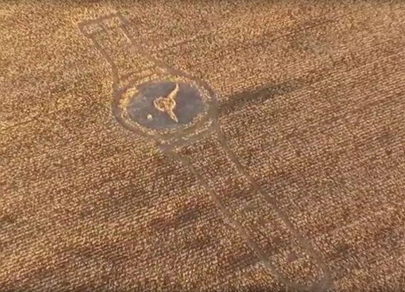 crop circle at Chernyshovks | September 28 2015