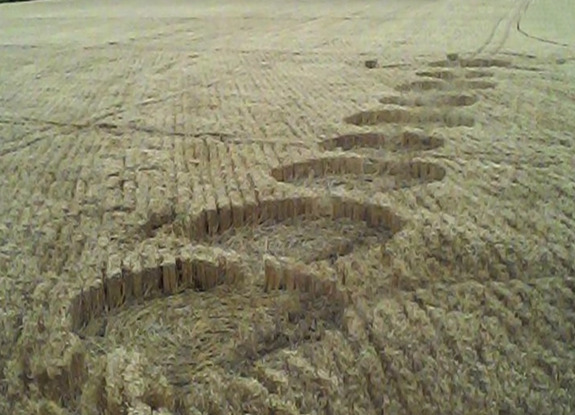 crop circle at Chicoana | November 1 2015