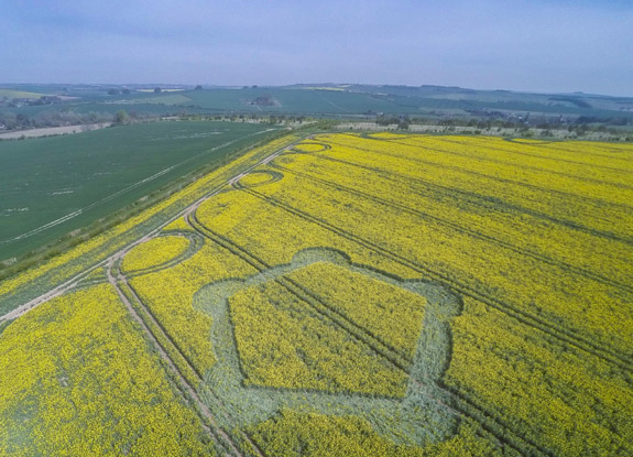 crop circle at Hill Barn | May 6 2016