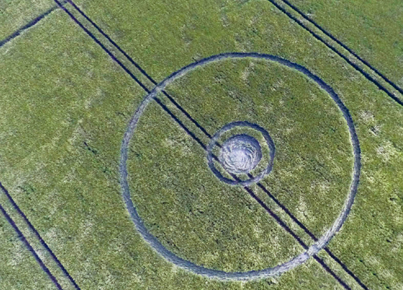 crop circle at Silbury Hill | May 28 2016