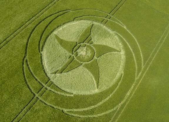 crop circle at Silbury Hill | June 5 2016