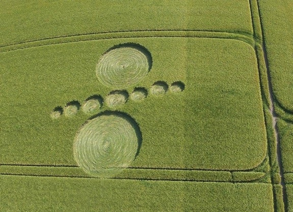 crop circle at Hoeven | June 06 2016