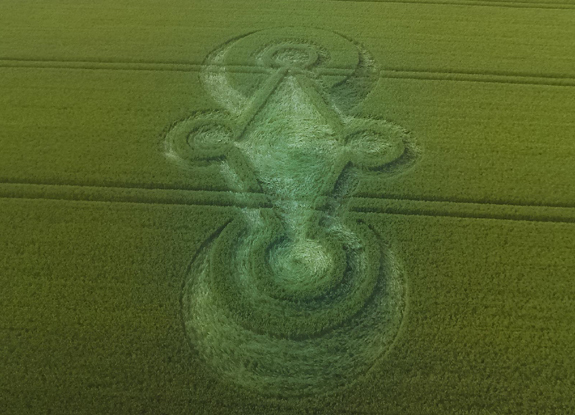 crop circle at Castle Hill | June 06 2016