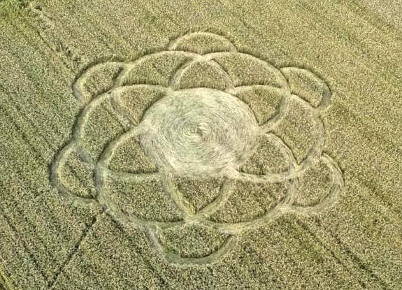 crop circle at Vanzaghello | June 08 2016