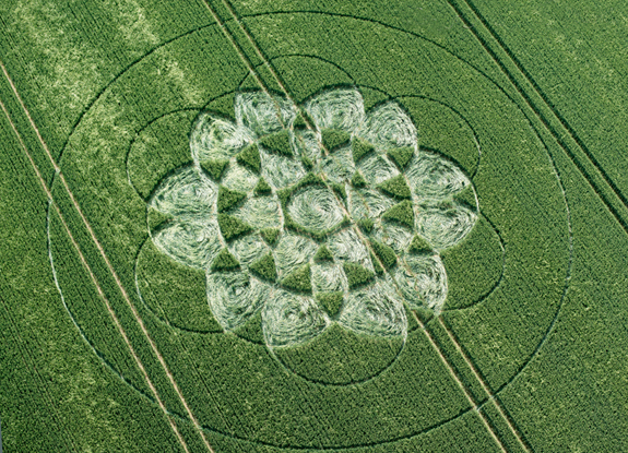 crop circle at Chilcomb Down | June 21 2016