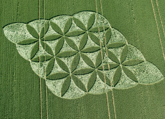 crop circle at Popham | June 27 2016