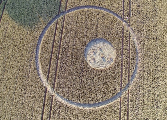 crop circle at Noordhoek | July 4 2016