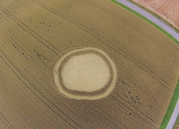 crop circle at Kemmental | July 7 2016