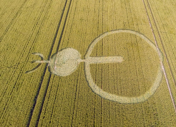 crop circle at Stanton Bridge | July 8 2016