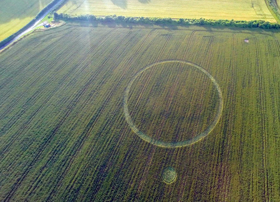 crop circle at Twyford | July 11 2016