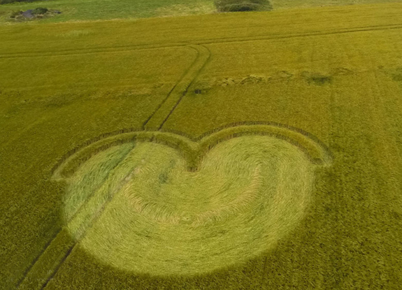 crop circle at Wilton Windmill | July 15 2016