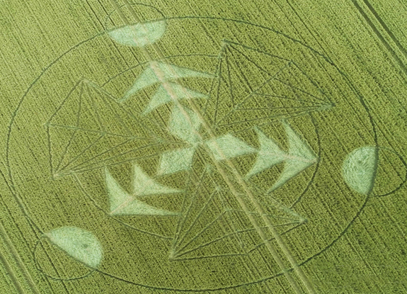 crop circle at Hackpen Hill | July 16 2016