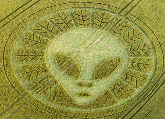 crop circle at Reigate | July 19 2016