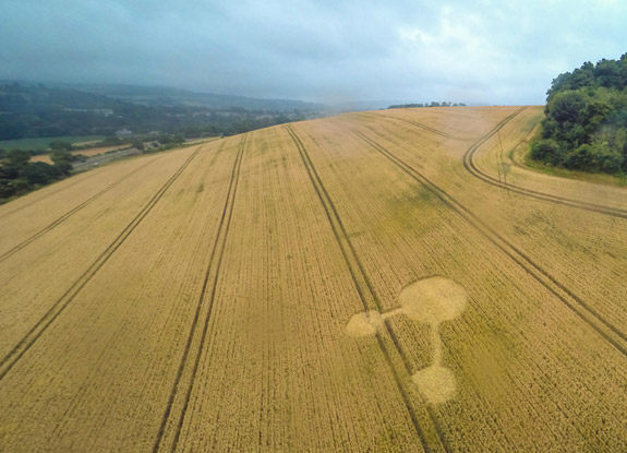 crop circle at Seven Acre Wood | July 22 2016