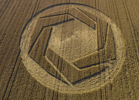 crop circle at Cheesefoot Head | July 25 2016