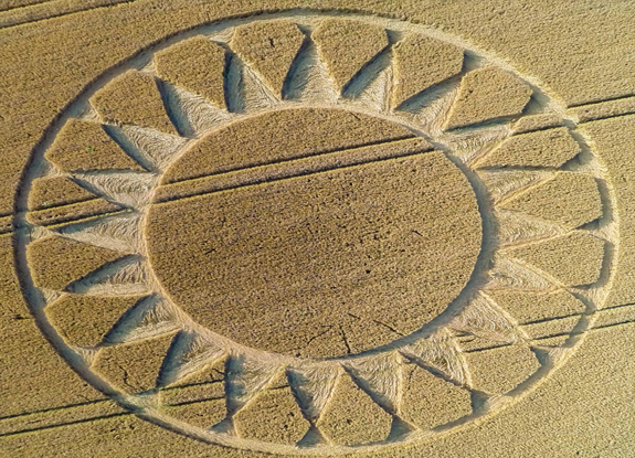 crop circle at Cley Hill | July 30 2016