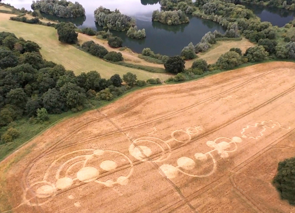 crop circle at Roydon | July 30 2016