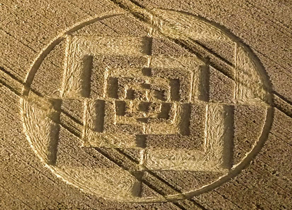 crop circle at Sparticles Wood | August 3 2016