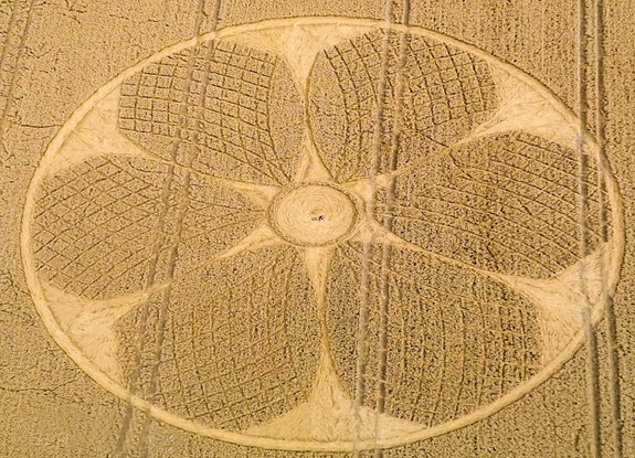 crop circle at Westbury | August  4 2016