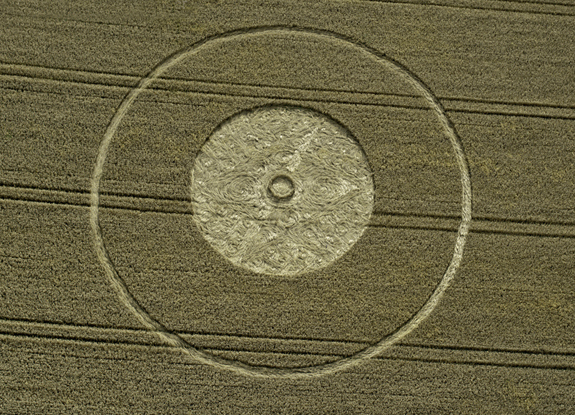 crop circle at Etchilhampton | August  8 2016