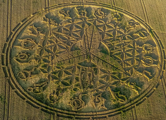 crop circle at Ansty | August  12 2016