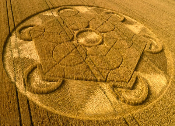 crop circle at Nursteed | August  17 2016