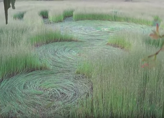 crop circle at Ben Nevis District | October 13 2016