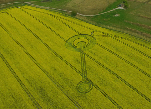 crop circle at Cherhill | April 16 2017