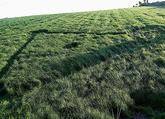 crop circle at Madron Holy Well | April 28 2017