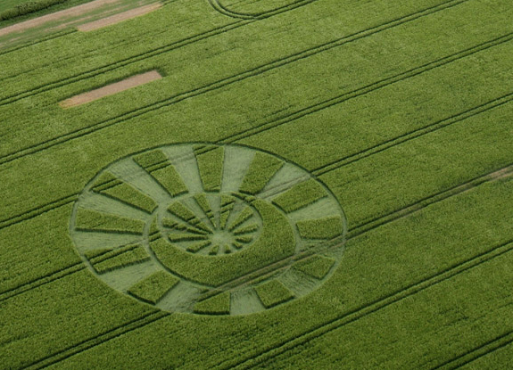 crop circle at Stitchcombe| May 21 2017