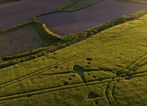 crop circle at Marazion | May 24 2017