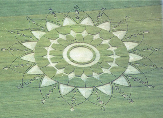 crop circle at Salenghe | May 28 2017