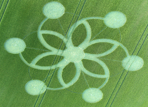 crop circle at Chicklade | May 30 2017