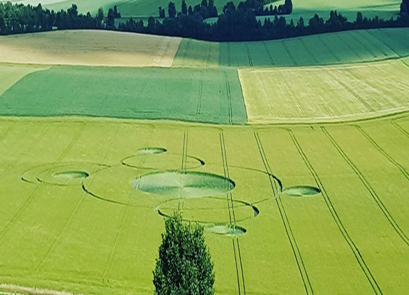 crop circle at Crézancy-en-Sancerre | June 2 2017