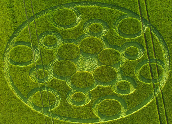 crop circle at Ashway | June 4 2017