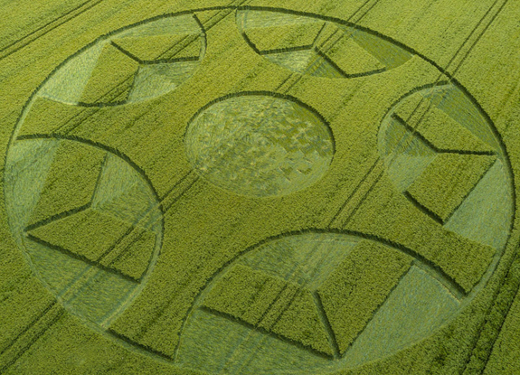 crop circle at Maiden Bradley | June 9 2017