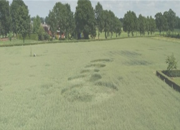 crop circle at Nettelhorst | June 19 2017