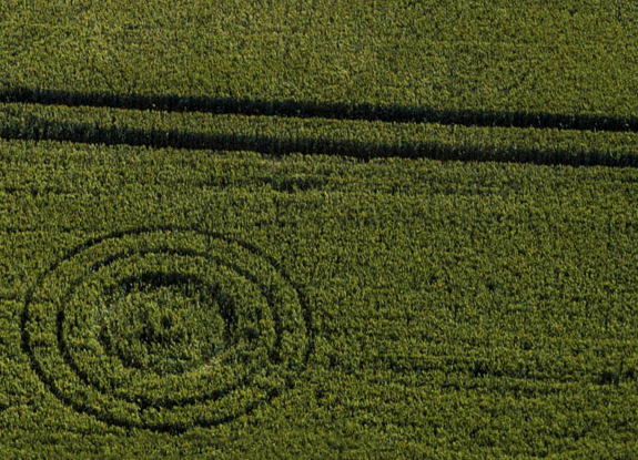 crop circle at Boreham Wood | July 1 2017