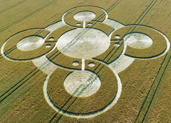 crop circle at Battlesbury Hill | July 5 2017