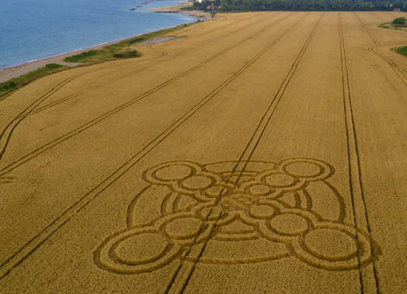 crop circle at Atherington | July 19 2017