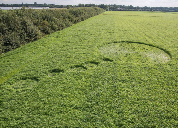 crop circle at Booschenhoofd | September 17 2017