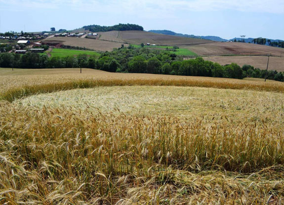 crop circle at Ipuacu | October 18 2017