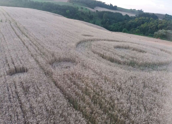 crop circle at Linha Bela Vista | November 3 2017